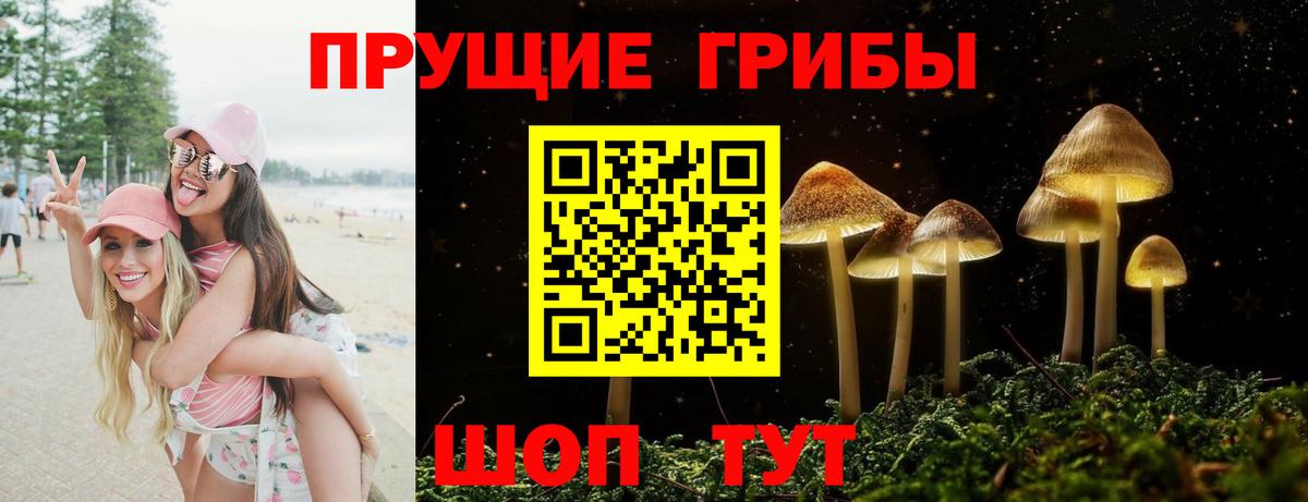 Псилоцибиновые грибы GOLDEN TEACHER  Вход с VPN  Галлюциногенные грибы Psilocybine cubensis  Сланцы 