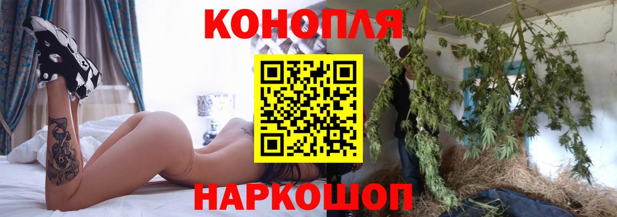 Сланцы  Бошки марихуана сатива  Вход с VPN  Каннабис гибрид 